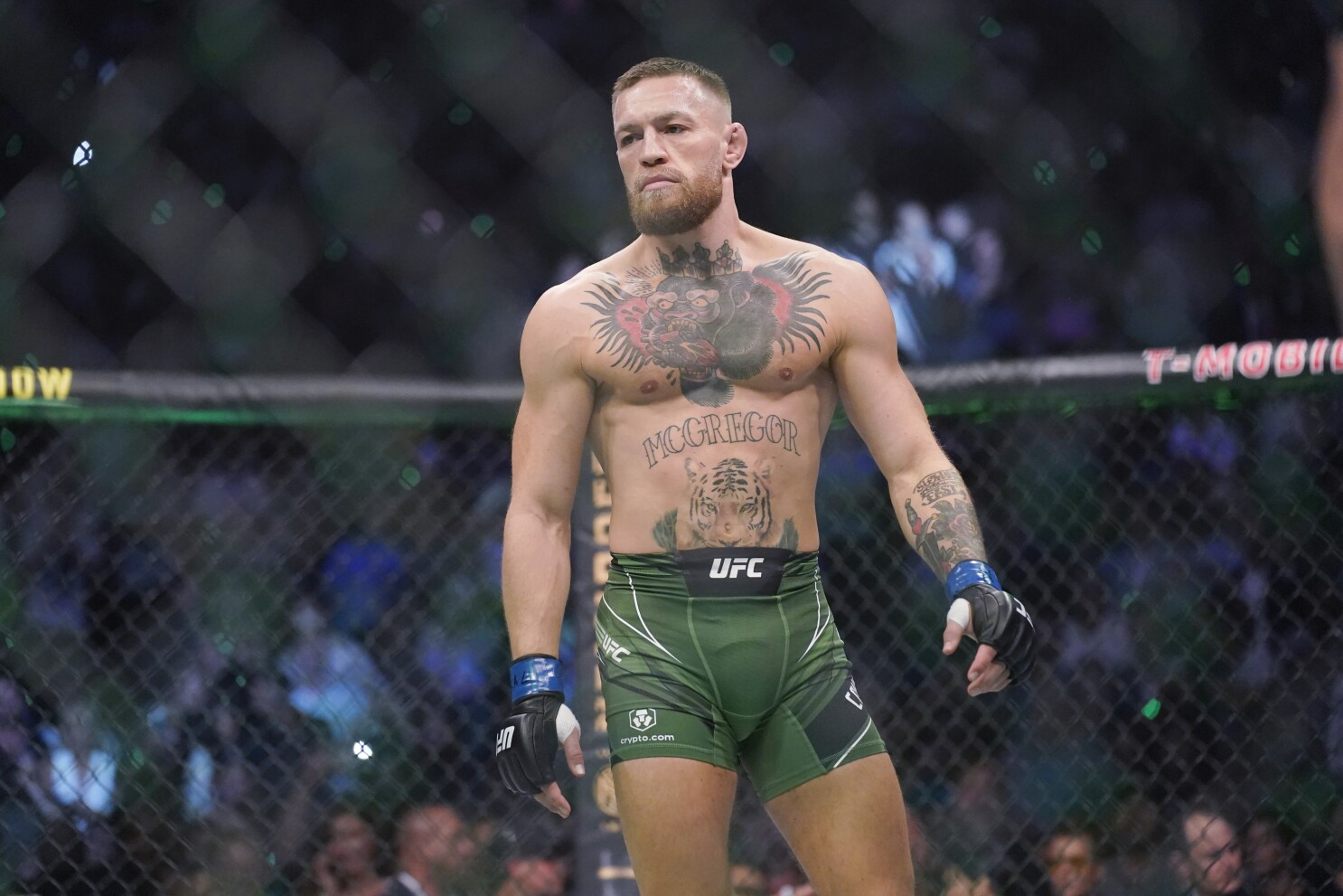 Ufc shorts conor mcgregor on sale